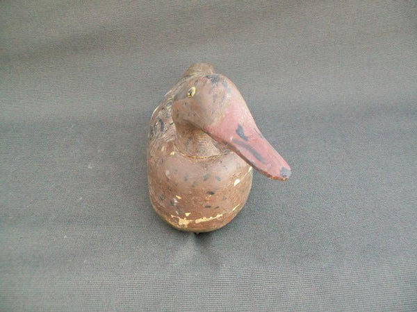 Mississippi River Mallard Hen Circa 1900s