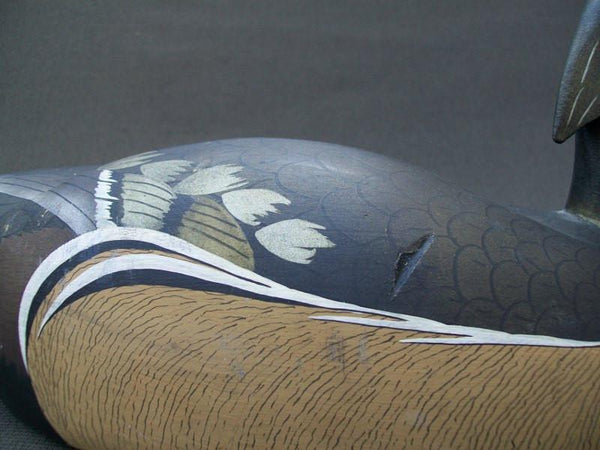 Ken Harris Wood Duck slightly turned head