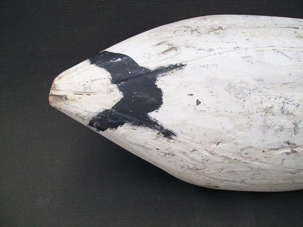 Illinois River Snow Goose