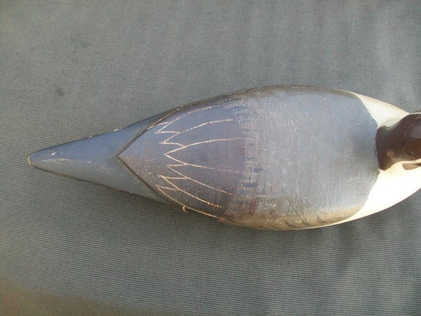 Illinois River Pintail