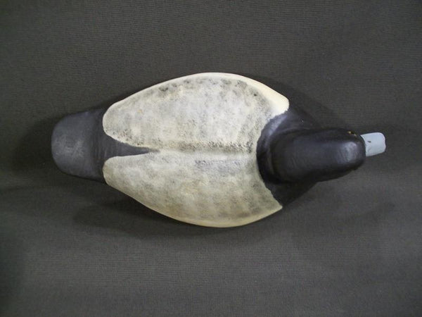 Lawrence Reno Blue Bills Pair