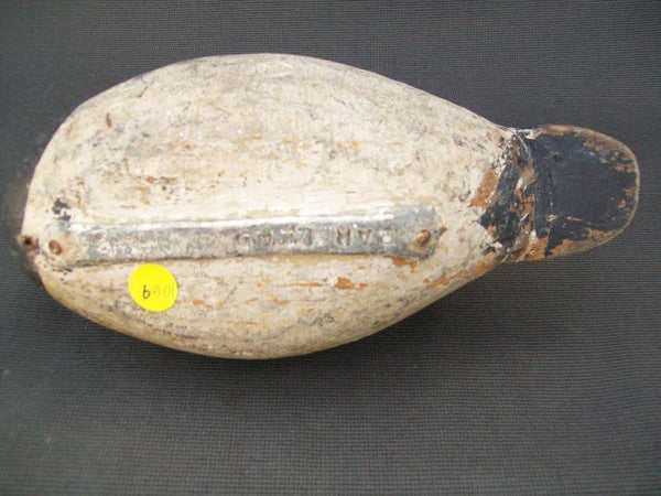 Illinois River Blue Bill with weight