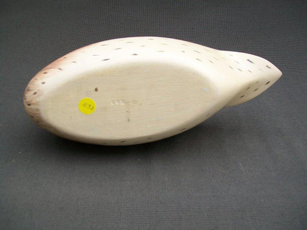 Earl Fox Mallard Hen Preening