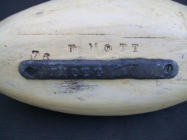 Illinois River Fred Mott Pintail