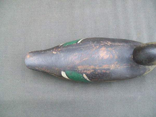 Mason Mallard Hen Detroit Grade O.P.