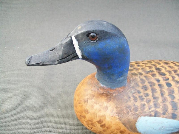 Elliston Style Blue Wing Teal