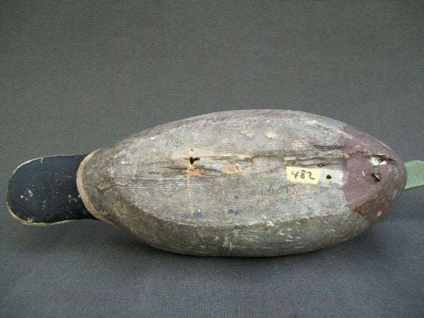 Illinois River Mallard Drake possibly early Mott