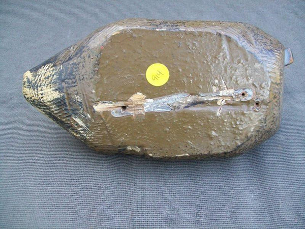 Mississippi River Mallard hen with tackeyes