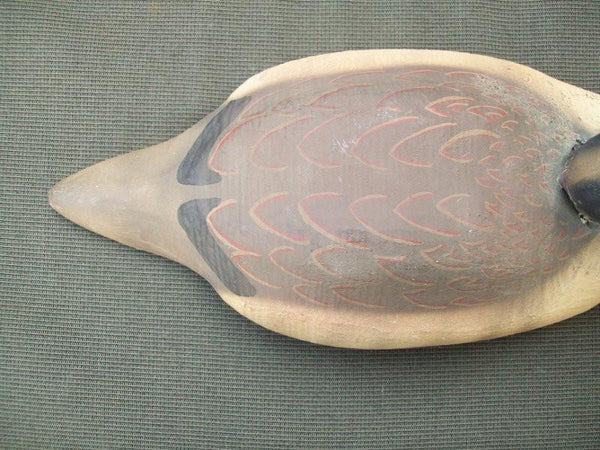 Herters 1893 Series Ruddy Duck