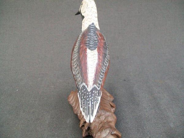 Standing Ruddy Turnstone