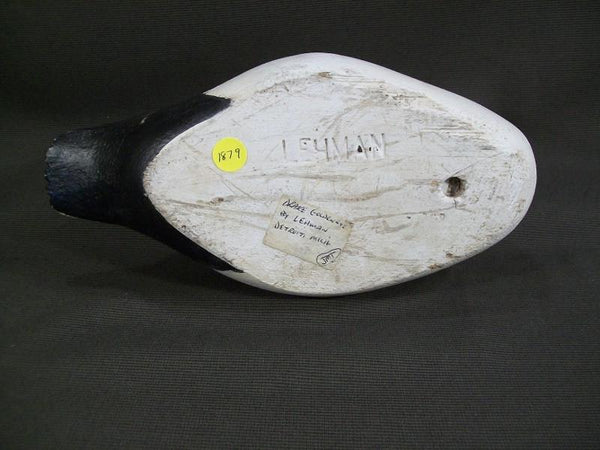 Lehman Golden Eye Drake