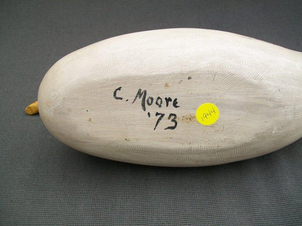 Seagull by Charlie Moore- Very early