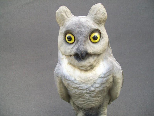 Victor Crow and Owl Decoy Set in Original Box