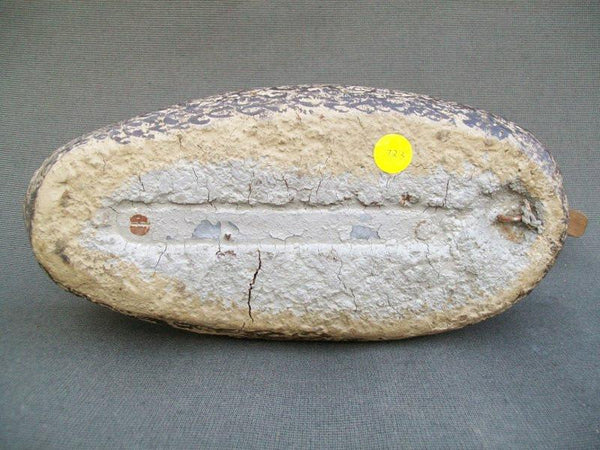 Illinois River Mallard Pair