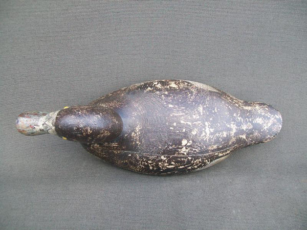 Mason Challenge Grade Blue Bill Hen