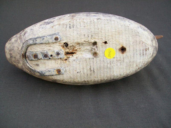 Vintage Tack eye Merganser