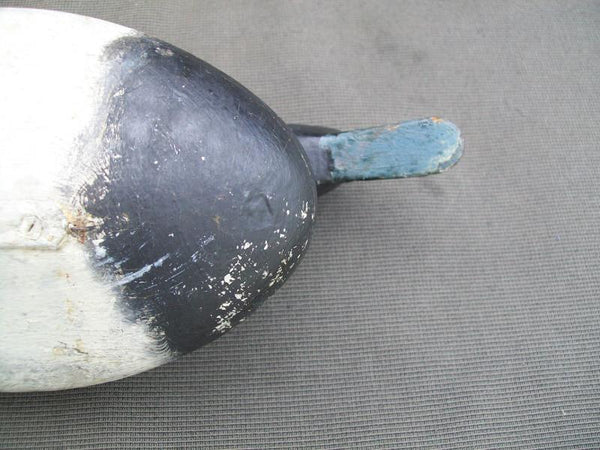 Schoenheider Sr. Bluebill with Chessman Paint