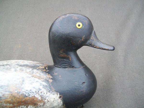 Illinois River Blue Bill with Weight