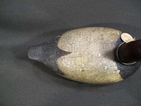 Charles Smith Illinois River Canvasback with weight