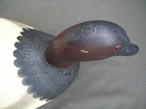 Mason Senica Lake Canvasback