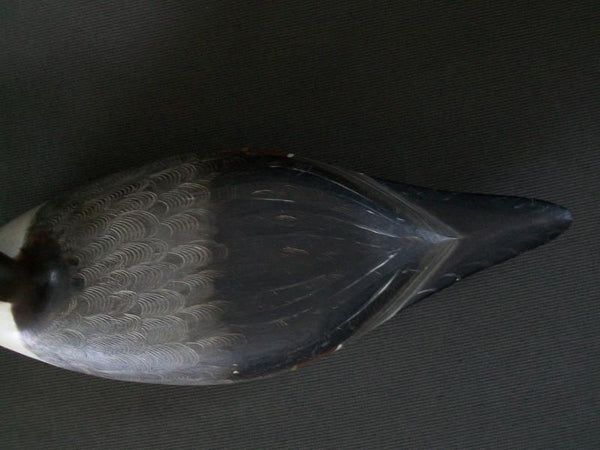 Robert Weeks Illinois River Pintail