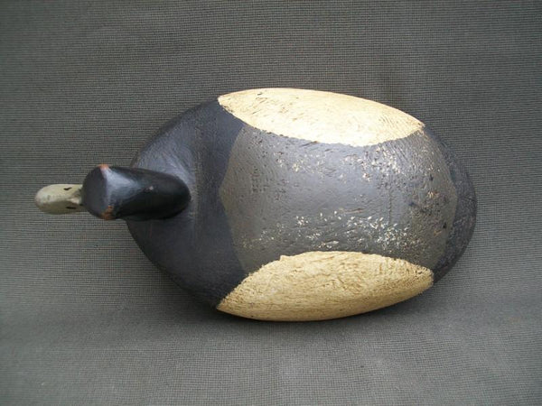 Robert Viener Blue Bill Drake Circa 1930- Original Paint  (#2476)