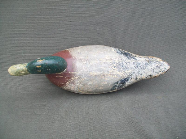Evans Mammoth Mallard Drake