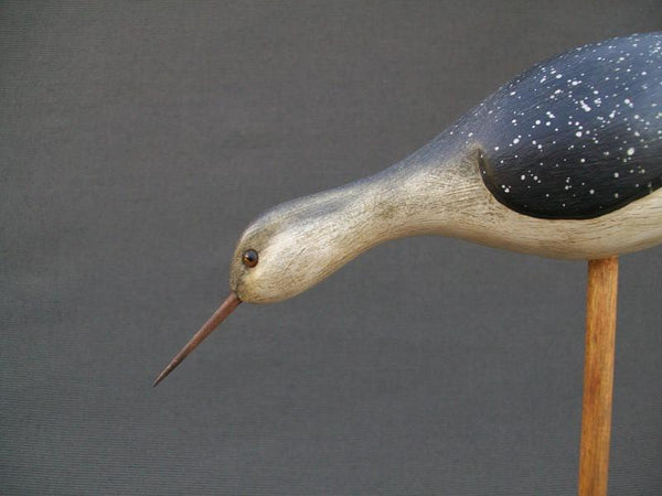 Jerry Siloski Feeding Shorebird - Decatur, Illinois