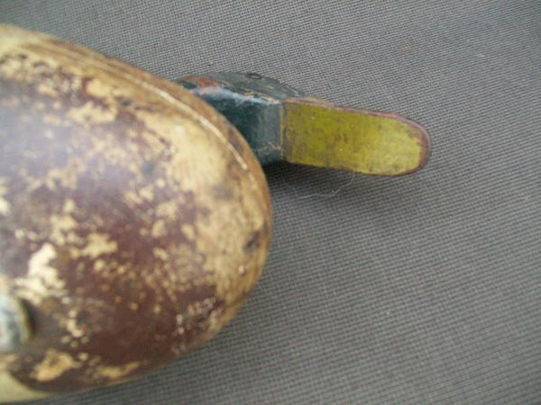 Leonard Doran Mallard Drake, Pekin Illinois