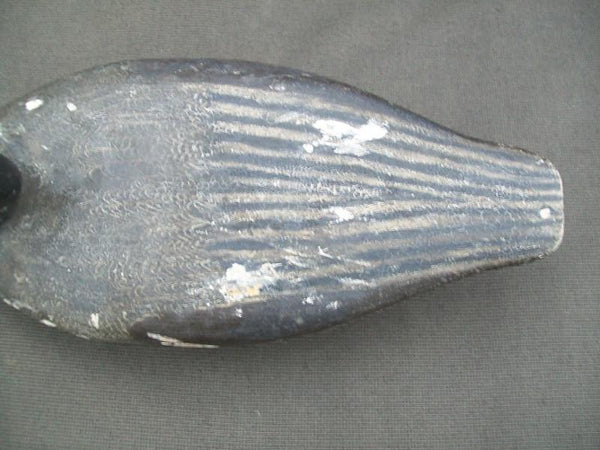 Illinois River Wilcoxen Pintail Drake with weight