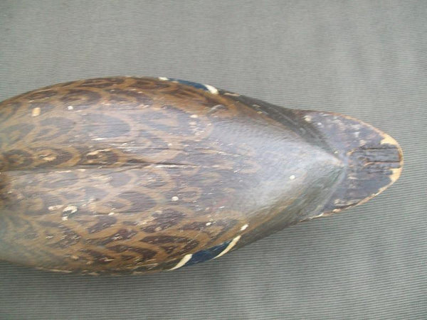 Heck Whittington working Mallard Hen