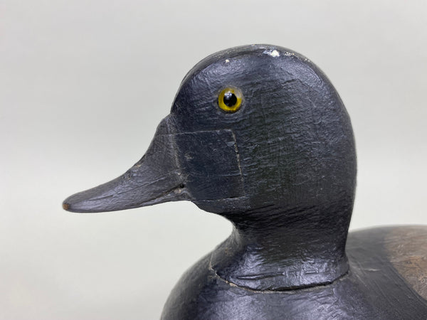 George Sibley, Mr. X, Blue Bill Drake, Branded (#6004)