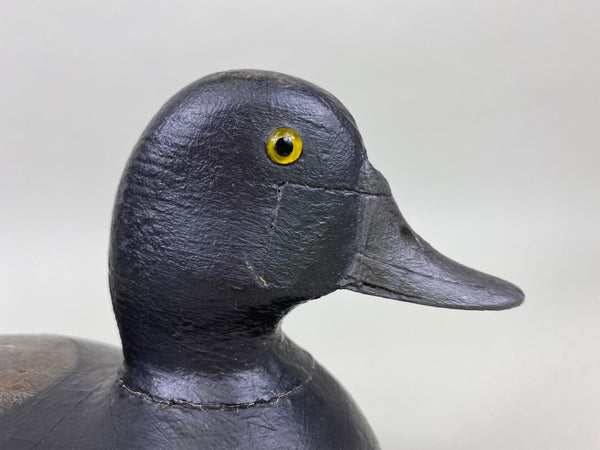 George Sibley, Mr. X, Blue Bill Drake, Branded (#6004)