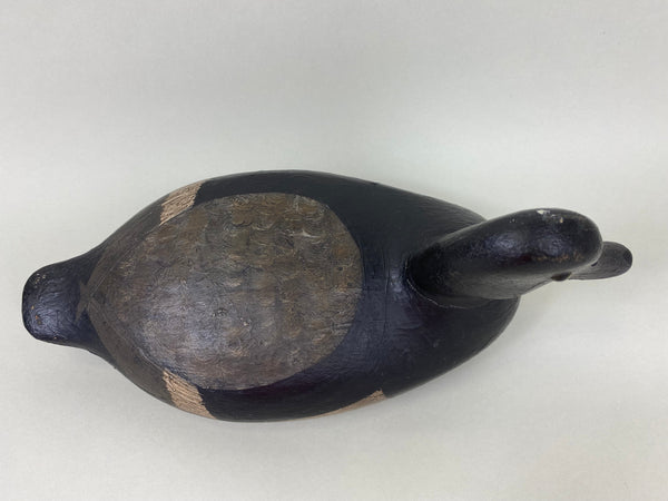 George Sibley, Mr. X, Blue Bill Drake, Branded (#6004)