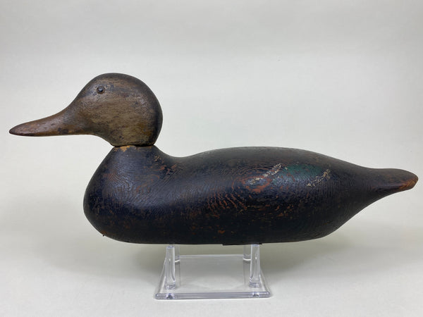 Late Mason Black Duck, Worn Original Paint (6099)