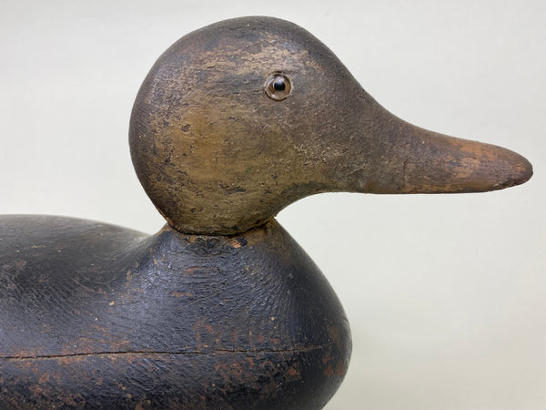 Late Mason Black Duck, Worn Original Paint (6099)