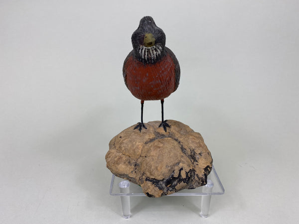 Wendell Sherman Robin (#6015)