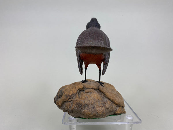 Wendell Sherman Robin (#6015)