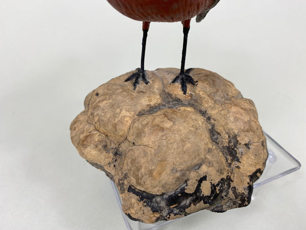 Wendell Sherman Robin (#6015)