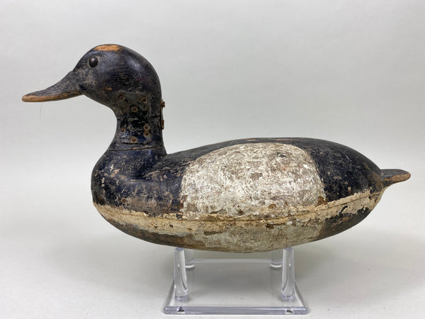 Illinois River Blue Bill, Peoria/Pekin Area (#6022)