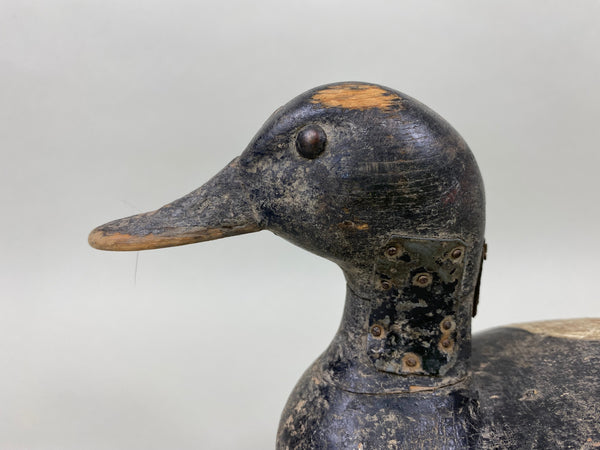 Illinois River Blue Bill, Peoria/Pekin Area (#6022)