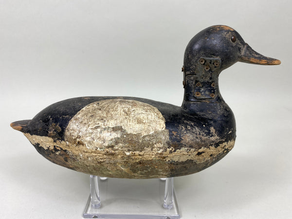 Illinois River Blue Bill, Peoria/Pekin Area (#6022)