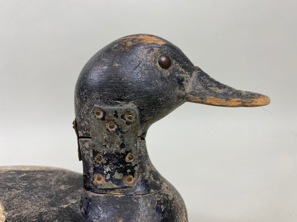 Illinois River Blue Bill, Peoria/Pekin Area (#6022)