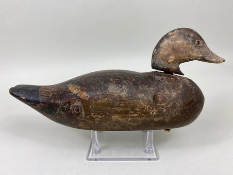 Rare Dodge Hen Teal, Circa 1890's (#6030)