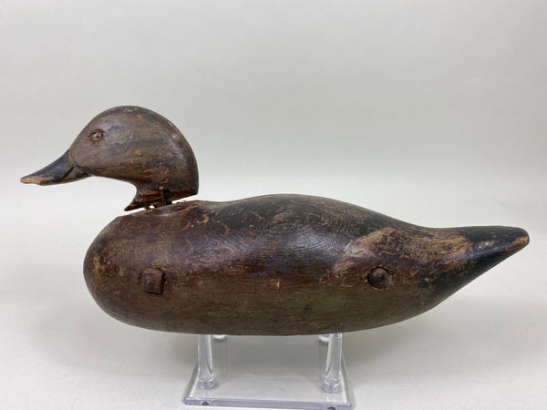 Rare Dodge Hen Teal, Circa 1890's (#6030)