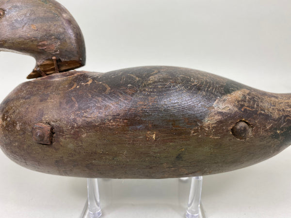 Rare Dodge Hen Teal, Circa 1890's (#6030)