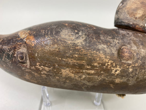 Rare Dodge Hen Teal, Circa 1890's (#6030)