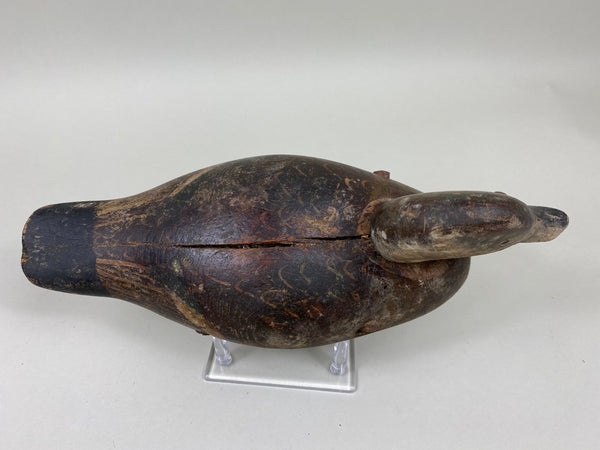 Rare Dodge Hen Teal, Circa 1890's (#6030)