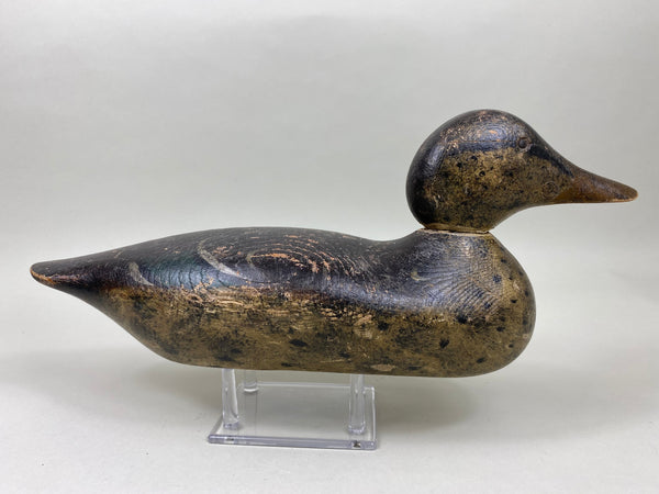 Mason Mallard Hen, Tack-eye, All Original (#6052)