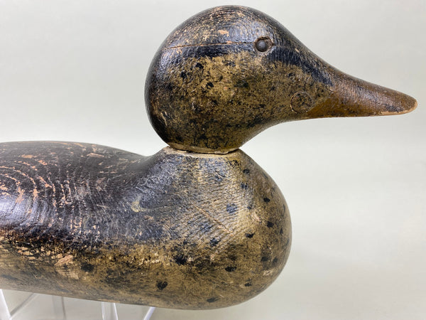 Mason Mallard Hen, Tack-eye, All Original (#6052)
